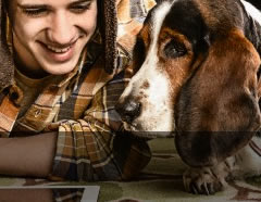 Pet